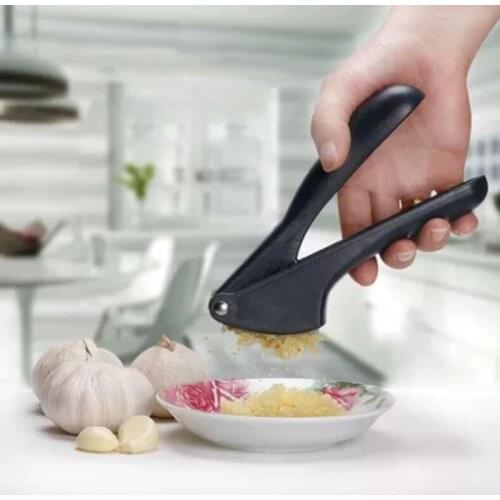 DIAMONDWORTH Garlic And Garlic Press