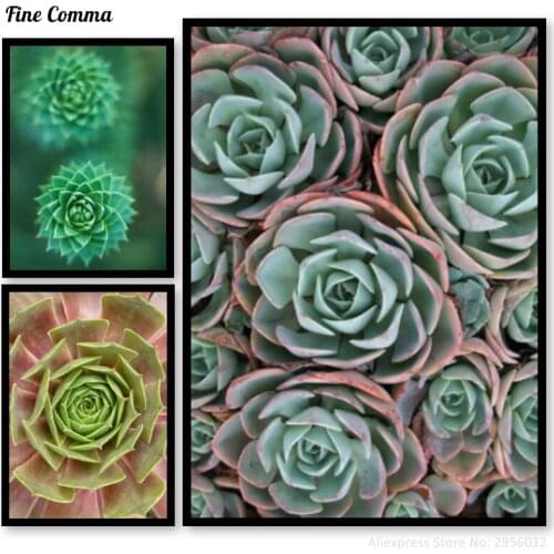 Succulent Plant Nordic Decor Home Art Posters and Prints Wall Picture for Living Room Wall Art Canvas Print Scandinavian Decor