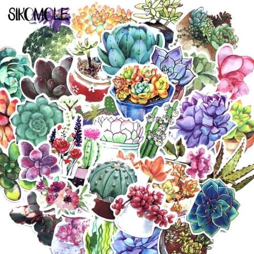 71PCS Plant Succulent Potted Cactus Small Fresh For Mobile Phone Laptop Luggage Guitar Case Skateboard Fixed Bike Stickers F2