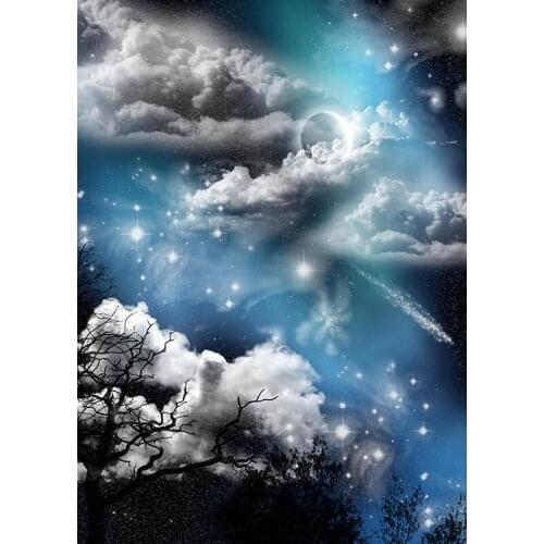 ZHISUXI Vinyl Custom Photography Backdrops Prop Fairy tale Theme Photography Background THS20721-01