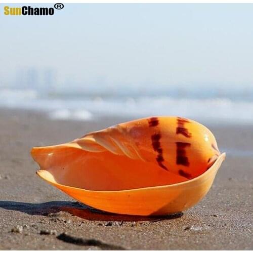 Natural Conch Shell Large Yellow Sea Snail Aquarium Decoration Aquarium Landscaping Succulent Flowerpot Creative Ornaments Gifts