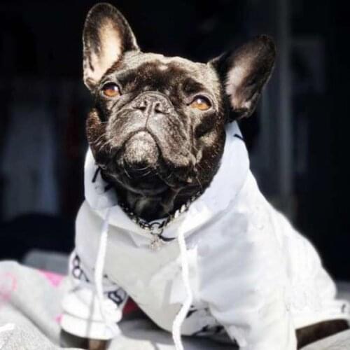 Fashion Letter Dog Clothes for Small Dogs Clothing Cute French Bulldog Hoodies Chihuahua Coat Jacket Ropa Para Perro Costume A32