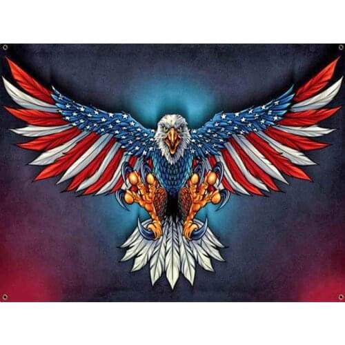 Dpsupr Full Square/Round Diamond Painting Kit Cross Stitch American Eagle Diamond 3D Embroidery DIY 5D Moasic Gift DC08