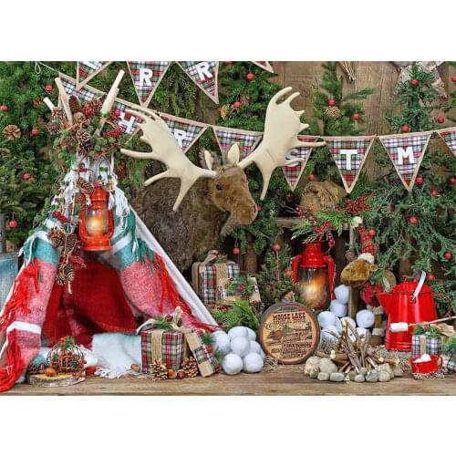 Moose Lake Tree Tent Flag Light Gift Camping photography backgrounds High quality Computer print christmas backdrop