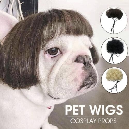 2021 Fashion Pet Wigs Cat Dog Cospaly Props Wigs Tiara Hairpiece Makeover Clothing Pet Supplies