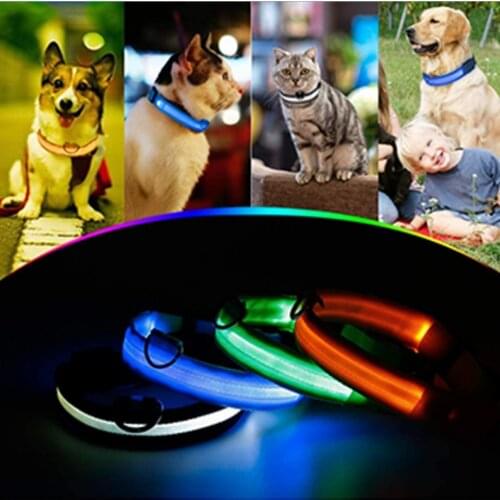 Shining Dog Collars LED Light Flashing Dog Collars Traction Belt Adjustable Chargeable with USB Dogs Neck Band Led Dog Collar
