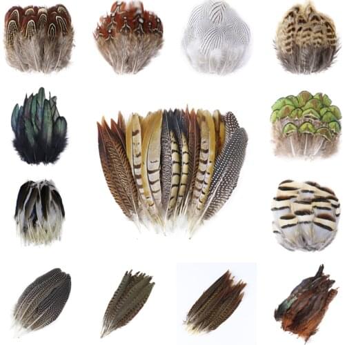 Wholesale Natural Pheasant Peacock Feathers for Crafts Jewelry Making Accessories Decoration Plumes 5-15CM 20/50/100PCS