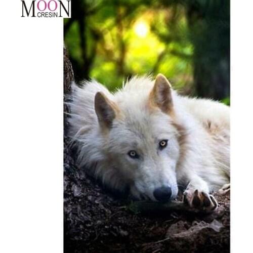 5D Diy Diamond Painting Animals White Wolf Embroidery Cross Stitch Mosaic Full Square Round Drill Rhinestones Home Decor Needle