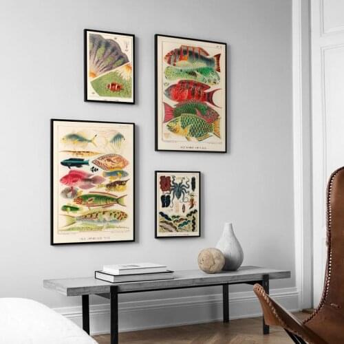 Marine Life Illustration Canvas Painting Print Reef Fish Anemones Poster Vintage Wall Art Picture for Living Room Home Decor