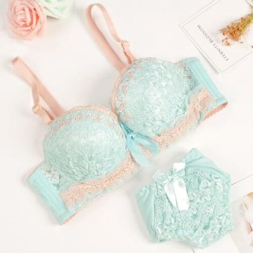 Push-up Bra and Panty Sets Beauty Back Sexy Womens Underwear Set Lace Female Brassiere Embroidery Lingerie Set