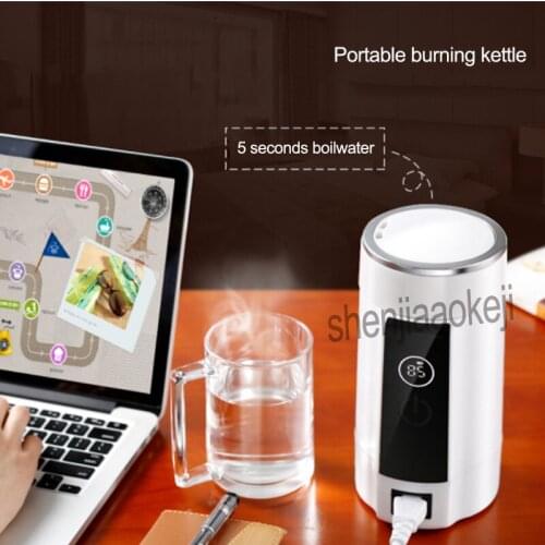 Small Travel Electric Cup Boiled Water Stainless steel Mini Tour Kettles Portable burning kettle 0.6L 1PC