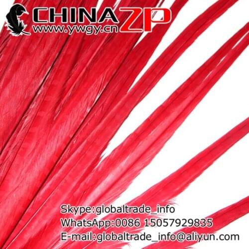 Gold Manufacturer CHINAZP Factory 100pcs/lot Size 20-22inch(50-55cm) Dyed Red Ringneck Pheasant Tail Feathers