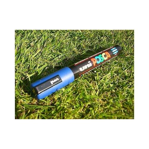Beekeepers Queen marker pen - BLUE