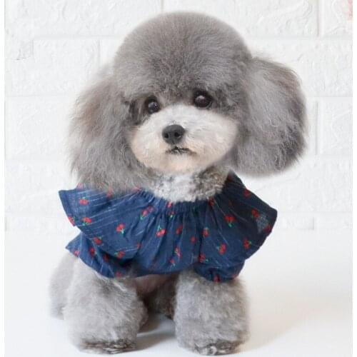Pet Cherry pattern Clothes White Blue Colors Dog Clothes Small Puppy Clothes Thin Section Two Feet Clothes for Pets