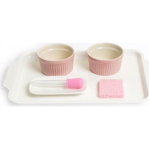 Montessori Practical Materials Basting with Eye Dropper Preliminary Exercises Water Transfering Working W/ Tray Early Education