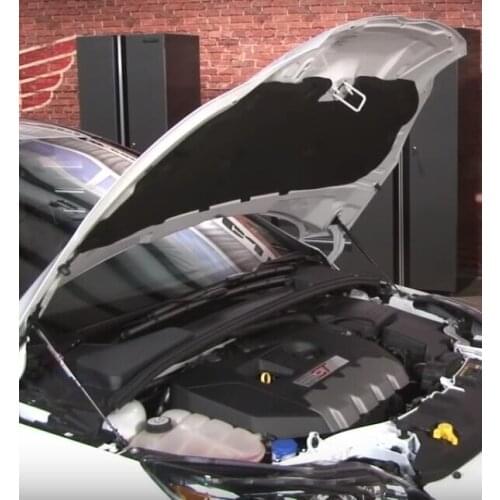 For 2013-2018 Ford Focus ST 2016-2018 Focus RS 2PCS Modify Front Hood Bonnet Gas Struts Lift Support Shock Damper Absorber