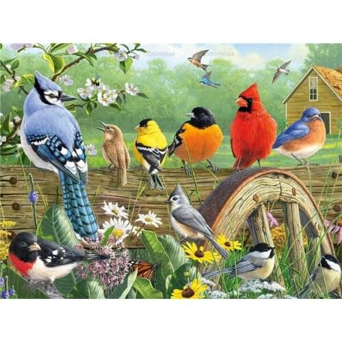 Full Square Round Drill Diamond Painting Kit Colorful Bird Wall Art Mosaic Rhinestones Myna Animal Embroidery Cross Stitch Decor