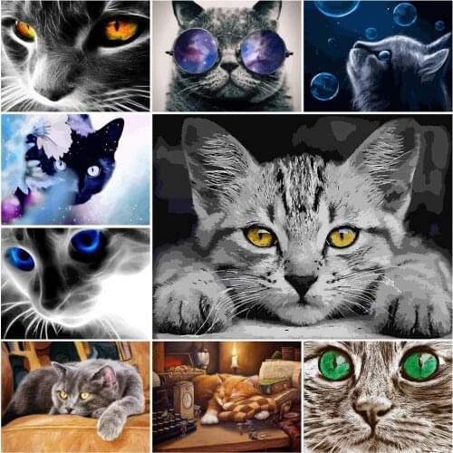 AMTMBS "Cat Animals" Picture Oil Painting By Numbers Hand Painted On Canvas Unique Gift Paint By Number Home Wall Art Decor