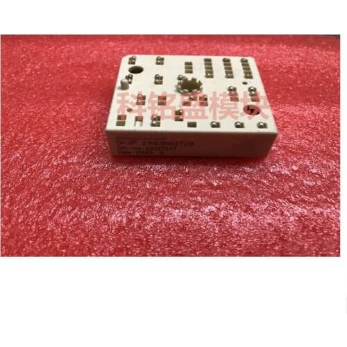 SKiiP21NEB063T29 SKiiP21NEB063T1 in stock