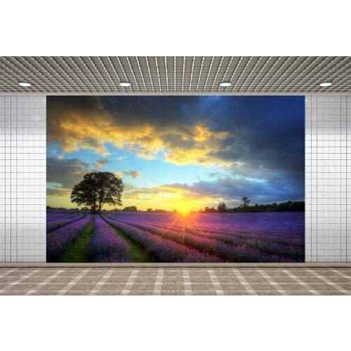 Lyavshi Photography Backdrop Season Summer Sunset Flower Vinyl Photographic Background Photo Studio Decoration Props