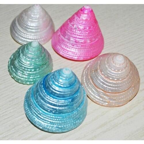 Natural colored conch shell conch snail tower specimen fish tank floor wedding decoration gold plated shell sea shells craf