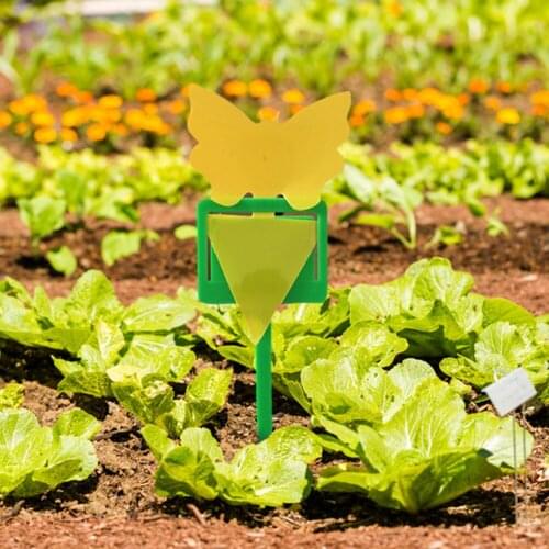 10Pcs Double-sided Sticky Board Support For Fruit Fly Insect Pest Control Strong Flies Traps Bedbugs Aphid Killer