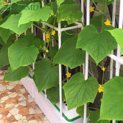 Horticultural Plant Fixed Vine Shelf Ring Bracket Fence Flower Pot Special Flower Stand Soilless Cultivation Planting Bracket
