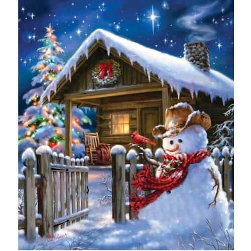 New Embroidery Counted Cross Stitch Kits Needlework - Crafts 14 ct DMC DIY Arts Handmade Decor -snowing 2
