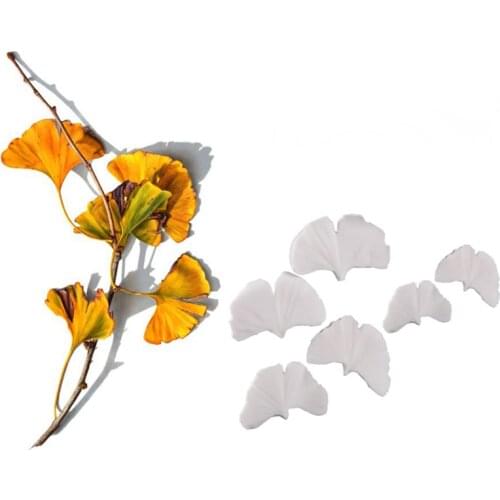 Ginkgo Leaves Silicone Mold Fondant Mould Cake Decorating Tools Chocolate Gumpaste Mold, Sugarcraft, Kitchen Accessories