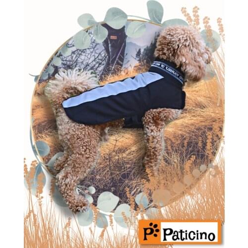 Одежда и обувь для собак Paticino China At AliExpress