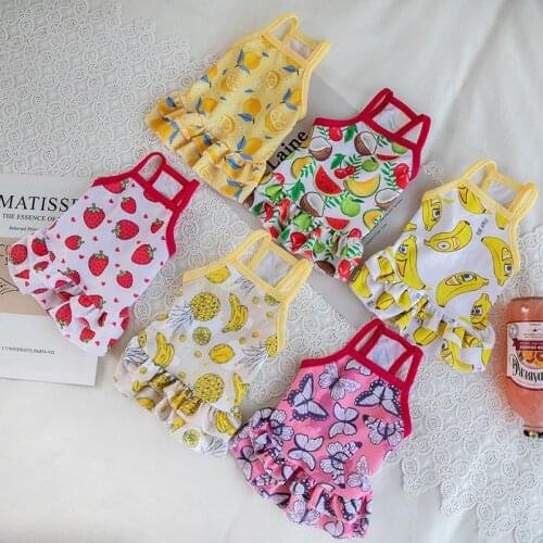 Cute Fruit Print Pet Dog Dress for Small Dogs Chihuahua Teddy Pug Skirt Puppy Cat Clothing Summer Dog Clothes Wedding Dresses