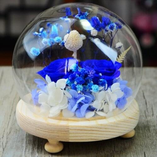 Diameter=12cm Middle Size Glass Dome Vase Home Decoration Creative Round Cover Log Base Friend Gift Wedding Live Prop