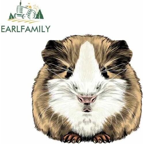 EARLFAMILY 13cm x 12.9cm for Guinea Pig Funny Car Stickers Vinyl Sunscreen RV VAN Fine Decal JDM Car Accessories Logo Cartoon