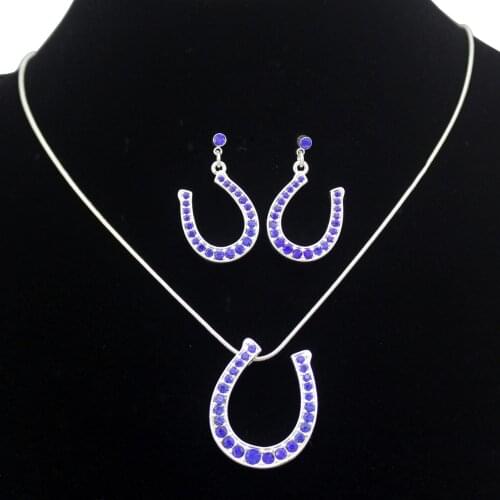 Lady Western Texas Cowgirl Crystal Horse Shoe Rodeo Snake Chain Earrings Drop Dangle Earrings Necklace Set Jewelry Dropshipping