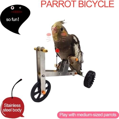 New Pet Bird Toy Parrot Training Bicycle Bird Training Supplies Props Bicycle Xuanfeng Little Sun Monk Golden Sun Bicycle