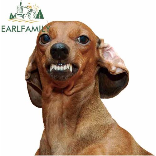 EARLFAMILY 13cm x 12.3cm For Weiner Dog Motorcycle Car Stickers DIY Decal Motorcycle For JDM SUV RV Sunscreen Decoration