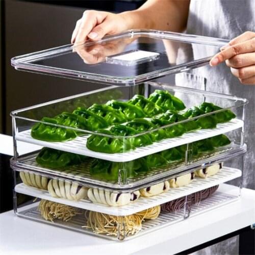 4.4L Large Kitchen Transparent Plastic Fresh-Keeping Box Fruits Vegetables Sealed Box Refrigerator Egg Dumplings Food Containers