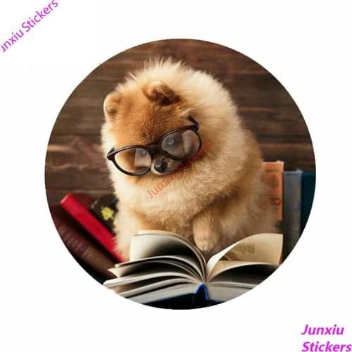 Pomeranian Dog Reading Book Creative Car Sticker DIY Anime Fashion Occlusion Scratch SUV Decals Car Decoration KK13*13cm