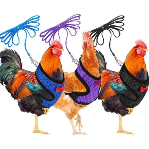 Adjustable Chicken Harness With Leash Breathable Summer Cool Mesh Cat Chicken Harness Leash Small Dog Puppy Harness Chest Stri