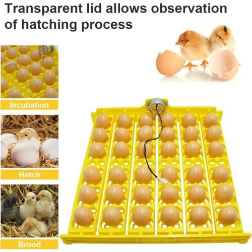 36 Egg Incubator Automatic Incubators Hatching Chicken Egg Turner Farm Chick Hatchery Machine Digital Chicken Birds Incubator