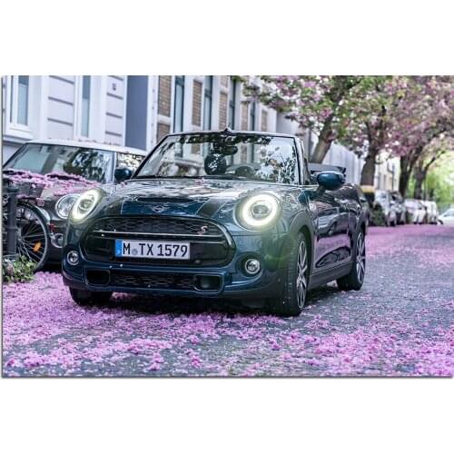 Modern Canvas Painting MINI Cooper S Cabrio Car Photo Wall Art Posters and Prints Wall Picture for Home Decor