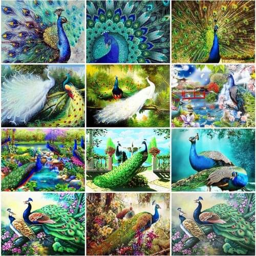 HUACAN 5d Diamond Painting Full Drill Square Animal Diamond Embroidery Peacock Pictures Of Rhinestones Mosaic Home Decor