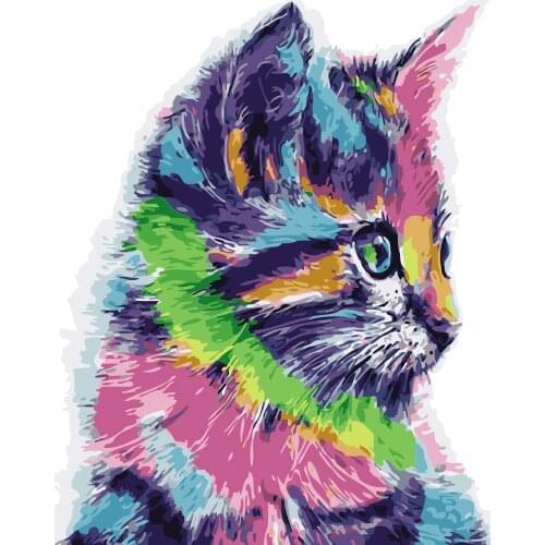 DIY Oil Painting By Numbers Animal on Canvas Home Decoration Acrylic Paint Coloring By Numbers Cat Handmade Gift 40X50