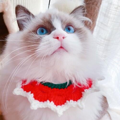Cute Lace Cat Dog Christmas Woolen Knitting Pet Hand Knitted Bib Kitten Bib Clothes Accessories Pet Supplies