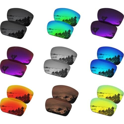 SmartVLT Polarized Replacement Lenses for Oakley Big Taco Sunglasses - Multiple Options