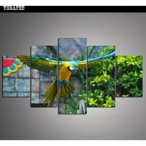 HD Printed Painting Canvas Printing Parrot painting Room decor print poster picture canvas Framed Art PA-001