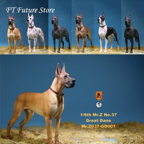 1/6 Collectible Figure Scene Accessories Mr.Z MRZ037 The German Great Dane Animal Dog Model 6 Colors for 12'' Action Figure
