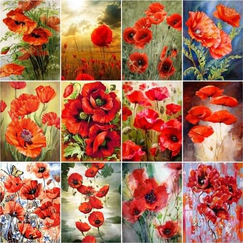 AZQSD Diy Frame Paint By Number Red Flower Drawing On Canvas Picture By Numbers Poppy Kits Modern Wall Art Gifts