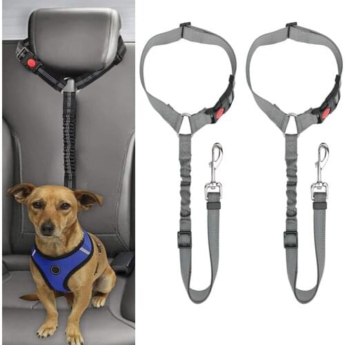 HiRoRace Lashing Belts