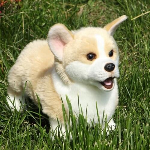 Corgi Doll Plush Toys Welsh Dogs Simulation Dogs Cute Dolls Gifts for girlfriends Children Gifts Creative Deco 32x12x21cm